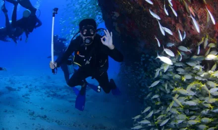 La Manga Buceo en el Mar Menor